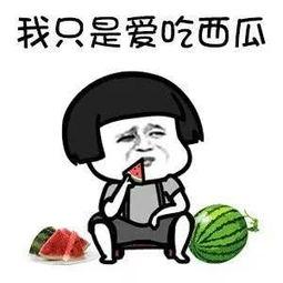 吃娱乐圈的瓜的文案 第2张 吃娱乐圈的瓜的文案 第2张